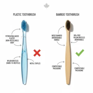Diagram highlighting the sustainable moso bamboo handle versus the non-recyclable components of a standard plastic toothbrush.