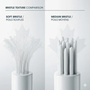 Detailed illustration showing the microscopic tips of a soft vs medium bristle toothbrush to demonstrate surface area contact.