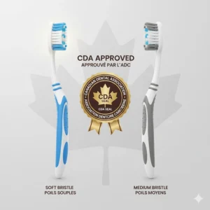 Illustration featuring a toothbrush alongside the Canadian Dental Association style seal of approval, emphasizing soft as the standard recommendation.
