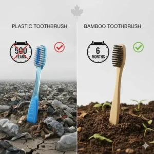 Graphic showing that a plastic toothbrush takes 500 years to decompose compared to a biodegradable bamboo handle.