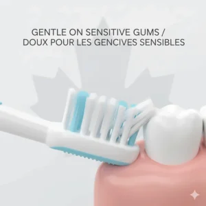 An illustration of a soft bristle toothbrush gently cleaning sensitive gums, a top choice for Canadians with gingivitis or enamel erosion.